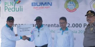 Peduli Lingkungan, PLN Kalbar Tanam 22 ribu Pohon, Wujudkan Bisnis Listrik Berwawasan Lingkungan