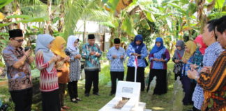 Mengenang Jasa-jasa Pejuang