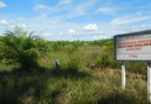 PT. KAA Vakum Sejak Tahun 2015