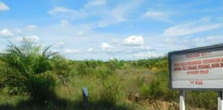 PT. KAA Vakum Sejak Tahun 2015