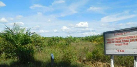 PT. KAA Vakum Sejak Tahun 2015