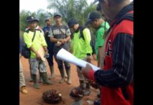 Minta Pemkab Ketapang Menilai Fisik Kebun