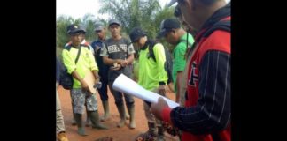 Minta Pemkab Ketapang Menilai Fisik Kebun