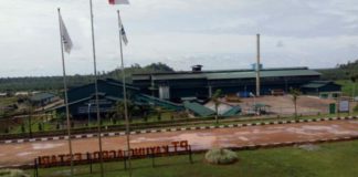 Benarkah Produksi TBS Defisit sehingga Utang Koperasi BSL di PT KAL Membengkak Rp30 Miliar?