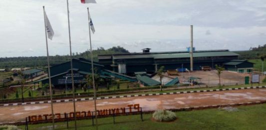 Benarkah Produksi TBS Defisit sehingga Utang Koperasi BSL di PT KAL Membengkak Rp30 Miliar?