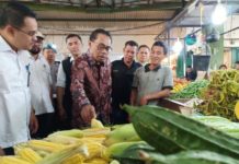 Pantau Flamboyan, Sekjen Kemendag Ancam Mafia Pangan