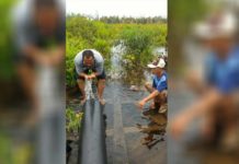 Muncrat Sampai 20 Meter