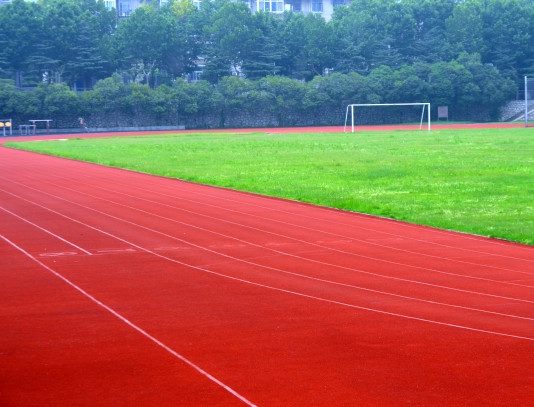 Jadi Tuan Rumah, Penginnya Pertahankan Prestasi, Segini Nih Jumlah Anggota Kontingen Porprov XII dari Kota Pontianak