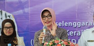 Manfaatkan Kulit Jagung Sebagai Kerajinan