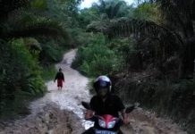 Mirip Kubangan Lumpur