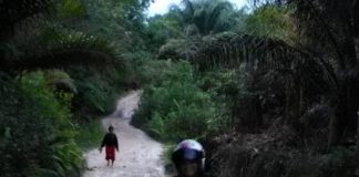 Mirip Kubangan Lumpur