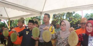 Festival Durian Sedahan Jaya 2018
