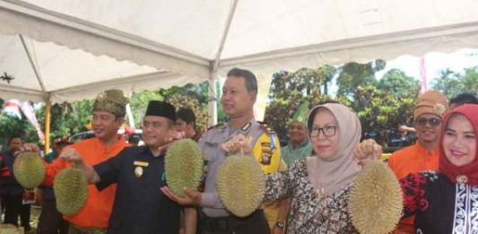 Festival Durian Sedahan Jaya 2018