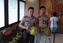 Pengepul Gas Bersubsidi Dibekuk