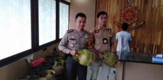 Pengepul Gas Bersubsidi Dibekuk