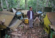 Dipercaya Sebagai Tempat Makhluk Halus Bersemayam dan Minta Hajat