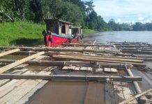 Polisi Amankan Ribuan Batang Kayu yang Diduga Milik Kades