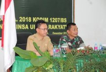 Jaga Kamtibmas, Peran Danramil dan Bhabinsa Penting
