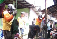 Kapuas Dipenuhi Sampah