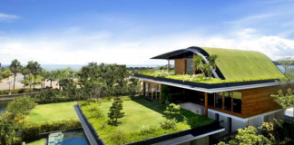 Bertanam di Atas Atap Sebagai Alternatif Ruang Hijau di Lahan Sempit