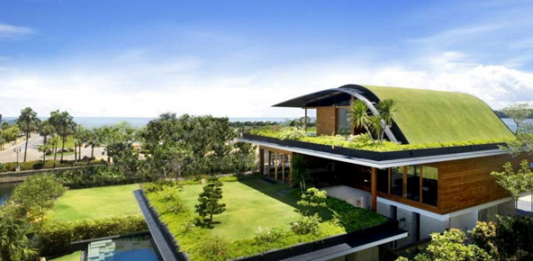 Bertanam di Atas Atap Sebagai Alternatif Ruang Hijau di Lahan Sempit