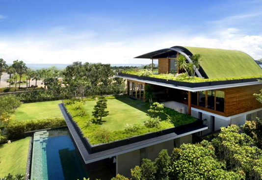 Bertanam di Atas Atap Sebagai Alternatif Ruang Hijau di Lahan Sempit