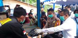 BNN Musnahkan 6,8 Kg Ganja