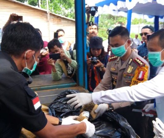 BNN Musnahkan 6,8 Kg Ganja