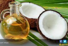 Minyak Kelapa Diisukan Mengandung Kolesterol Berbahaya Bagi Kesehatan