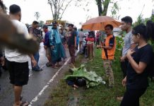 Kecelakaan Maut Tewaskan Seorang Pengendara Diduga Terjadi di Wajok Hilir