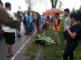 Kecelakaan Maut Tewaskan Seorang Pengendara Diduga Terjadi di Wajok Hilir