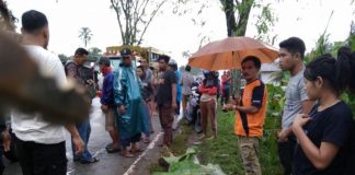 Kecelakaan Maut Tewaskan Seorang Pengendara Diduga Terjadi di Wajok Hilir