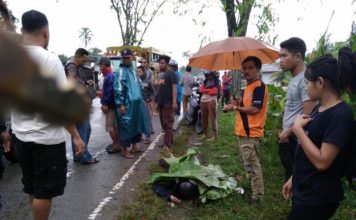 Kecelakaan Maut Tewaskan Seorang Pengendara Diduga Terjadi di Wajok Hilir