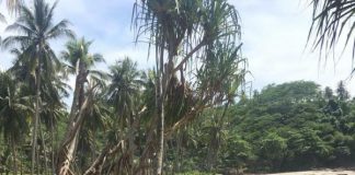 Solusi Bandwidth di Kawasan Bencana