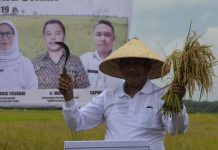 Bupati Citra Realisasikan Janji Bangun Jalan Pedalaman