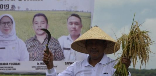 Bupati Citra Realisasikan Janji Bangun Jalan Pedalaman