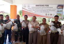 Bakal Dilepasliarkan ke Habitatnya di Papua