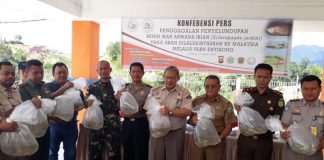 4.500 Arwana Selundupan Akan Dilepas di Perairan Irian