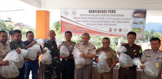 Bakal Dilepasliarkan ke Habitatnya di Papua