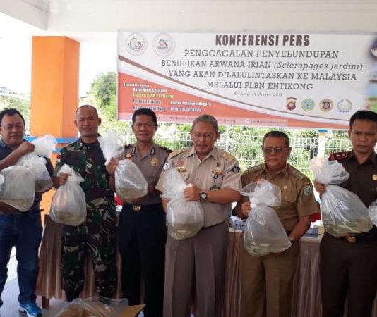 Bakal Dilepasliarkan ke Habitatnya di Papua