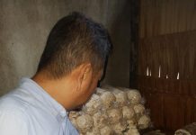 Mulyadi Bina Warga Budidaya Jamur Tiram