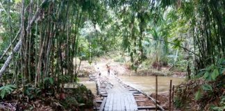 Jembatan Sungai Katap Dibangun Seadanya