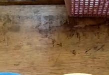 Pentol Bakso Kuah Hebohkan Warga