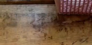 Pentol Bakso Kuah Hebohkan Warga