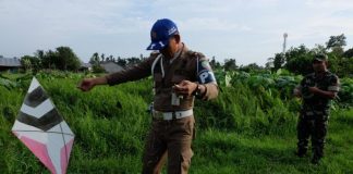 Dirazia, Pemain Layangan Kocar-kacir