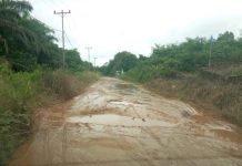 Pemprov Kucurkan Rp12 Miliar