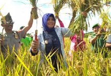 Petani Harus Menikmati Hasil Panen