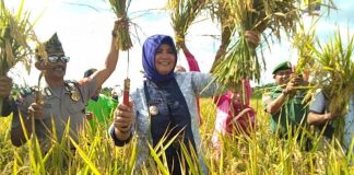 Petani Harus Menikmati Hasil Panen