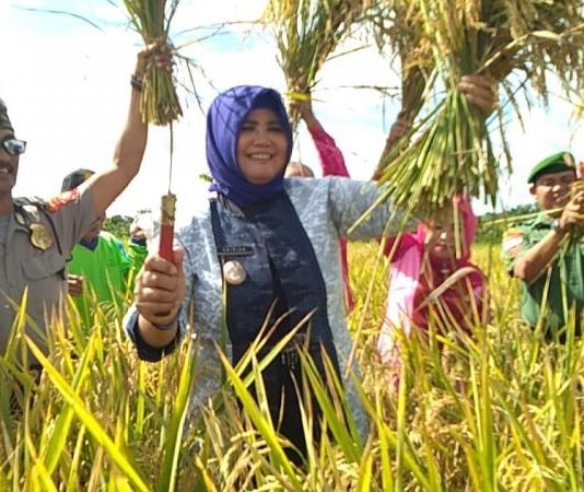 Petani Harus Menikmati Hasil Panen