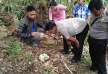Tengkorak Manusia Hebohkan Warga Semadin Lengkong